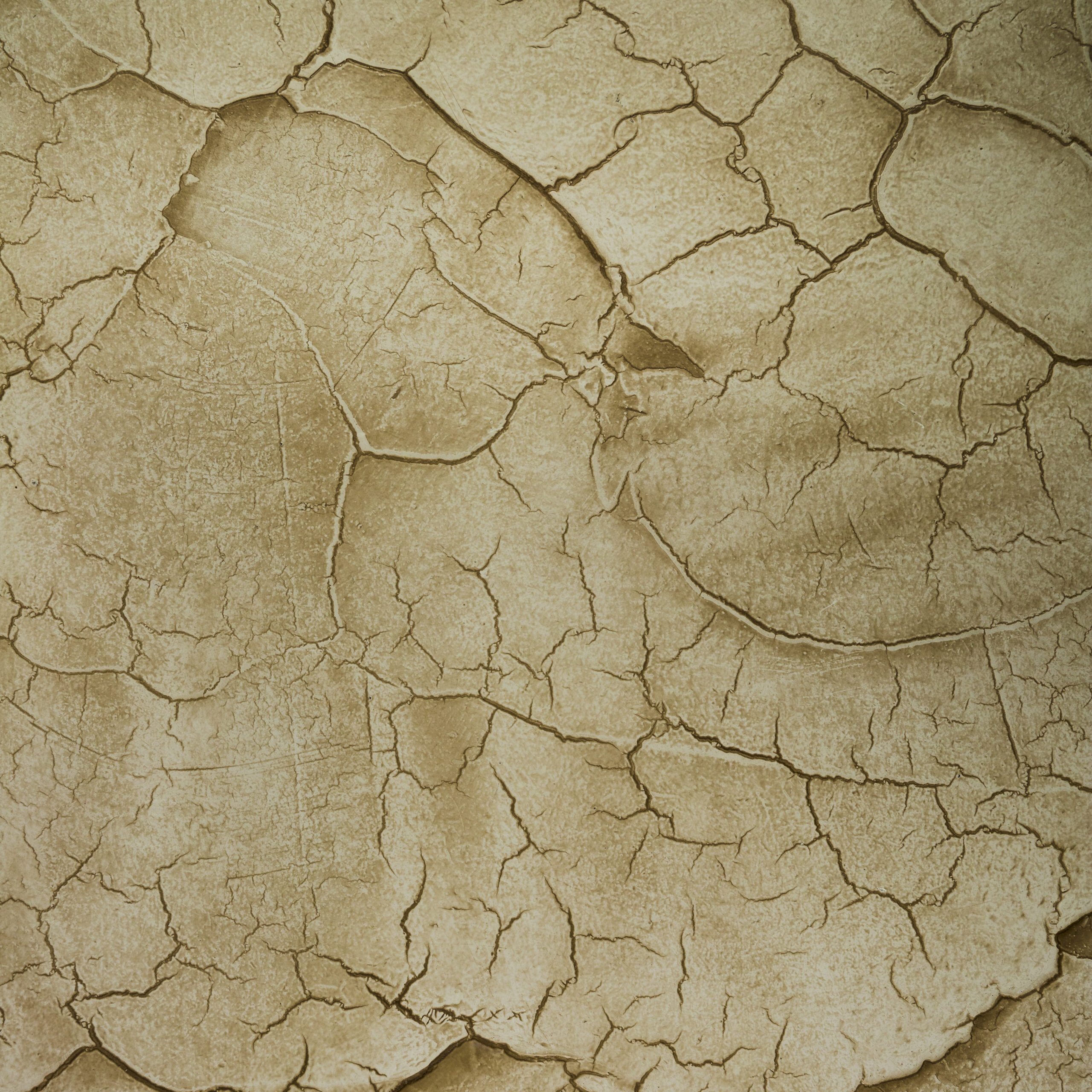 cement-wall-with-lots-cracks